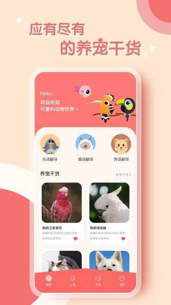 鹦鹉翻译器软件截图3