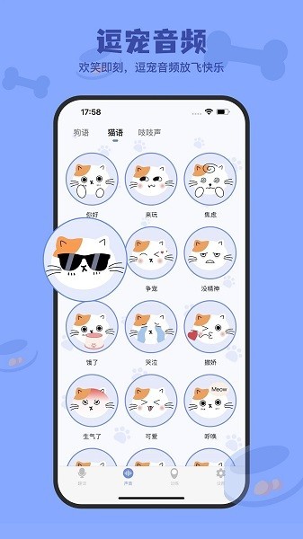 小白交流翻译app截图1