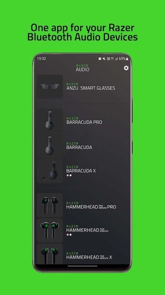 razeraudioapp官方截图2