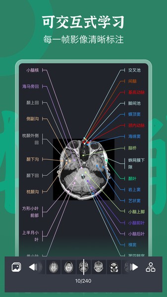 万康人体解剖软件截图4