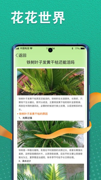 植物视界2024最新版本截图2