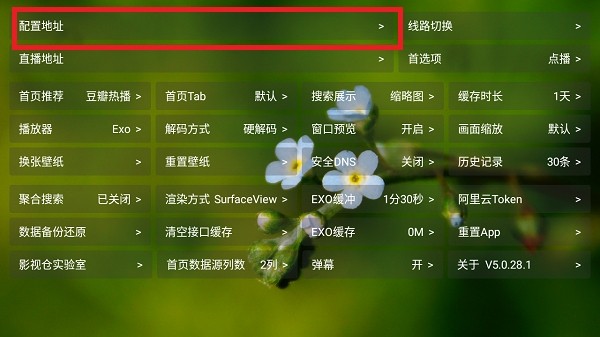 吾爱TV软件