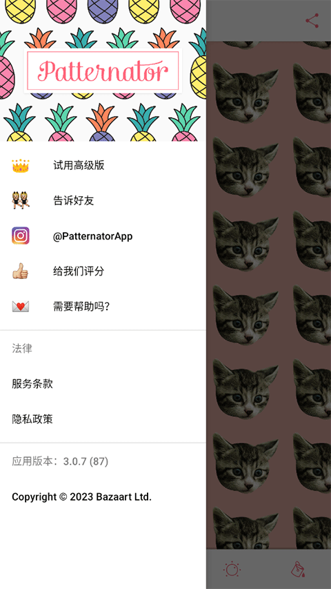 Patternator中文版截图4