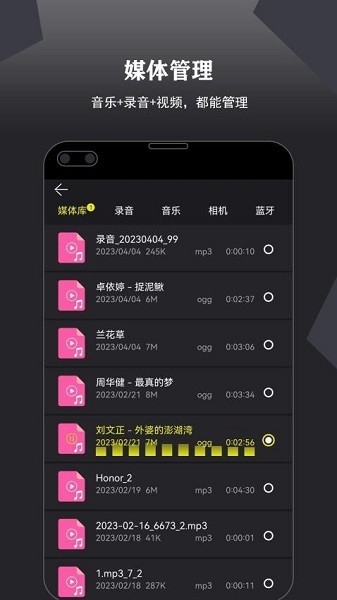 录音大宗师截图1