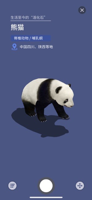 大眼探世界地球仪安卓版截图2