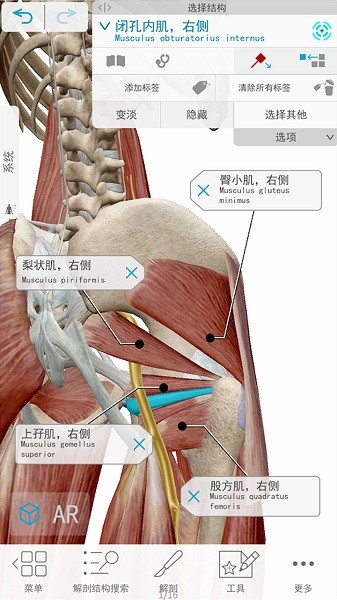 人体解剖3D教学软件截图1