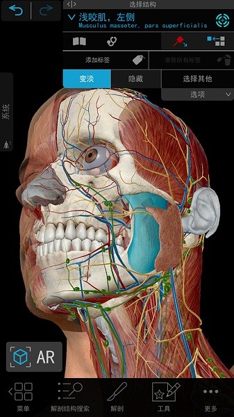 人体解剖3D教学软件截图2