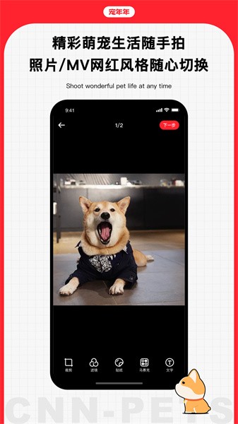 宠年年官方版截图5