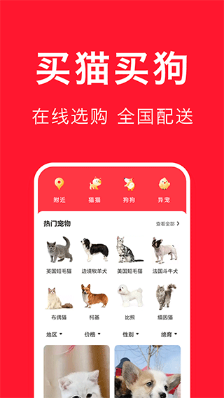 宠物宝app截图1