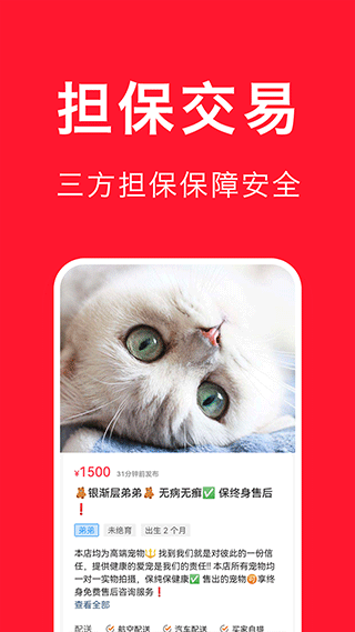 宠物宝app截图2