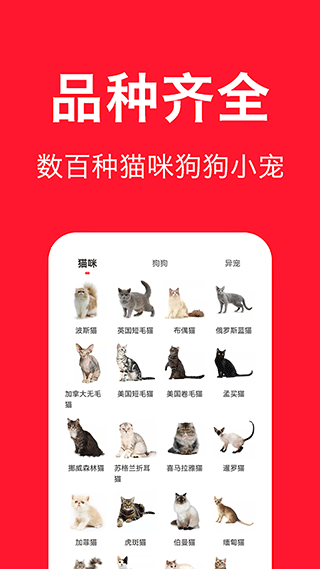 宠物宝app截图4