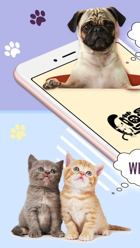 猫狗语翻译器软件最新版截图4