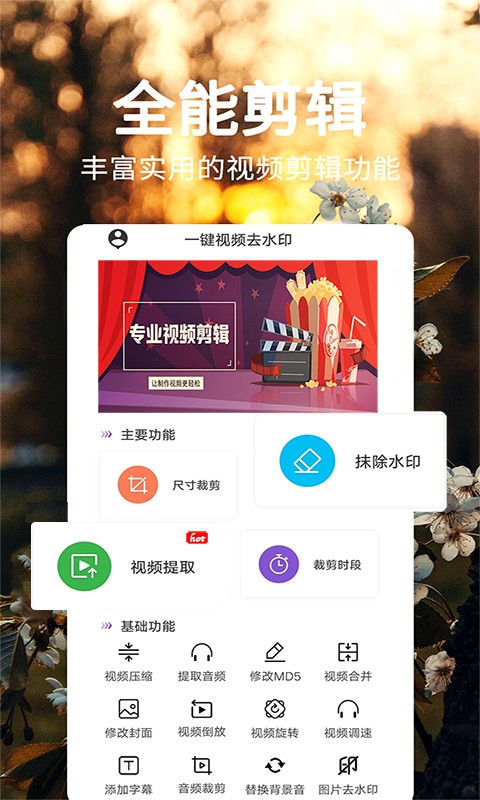 一键视频去水印大师截图1