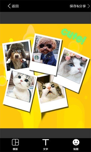 照片拼图软件免费版最新版截图3