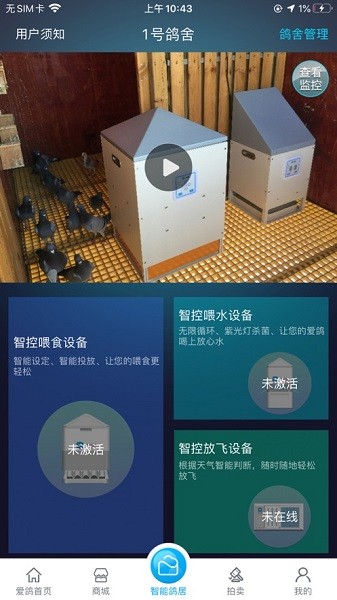 爱鸽者app截图3