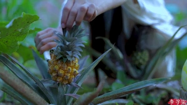 派大星直播tv版(附源配置地址)截图1
