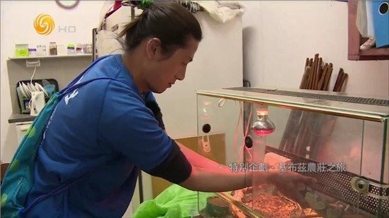 大视界tv免密码版截图3