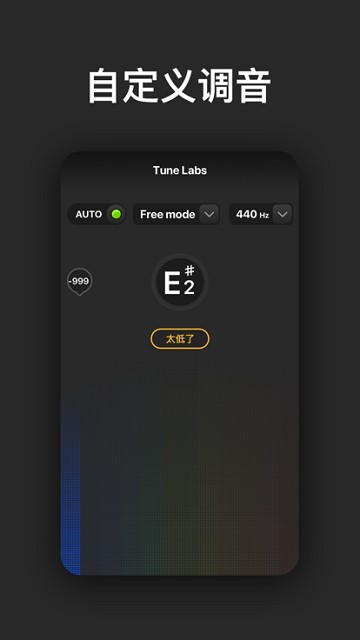 tune labs-全能调音表截图1