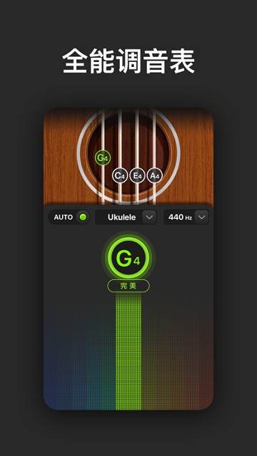 tune labs-全能调音表截图2