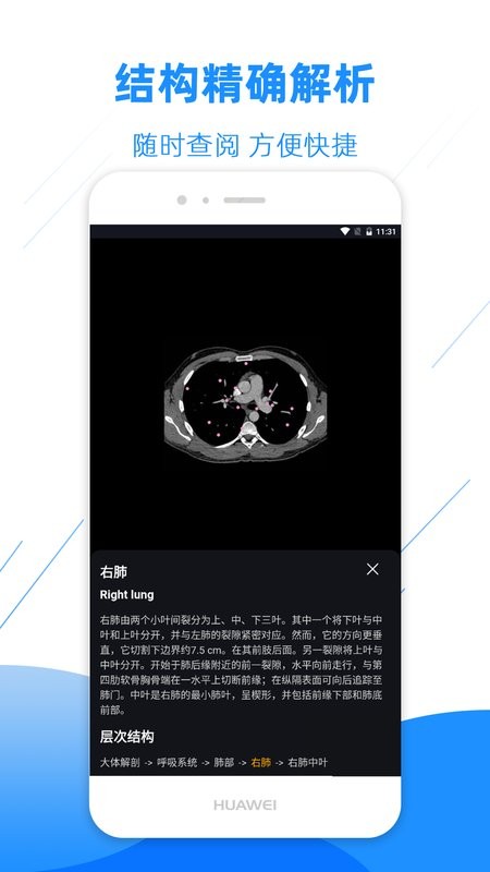 影像解剖图谱软件截图2