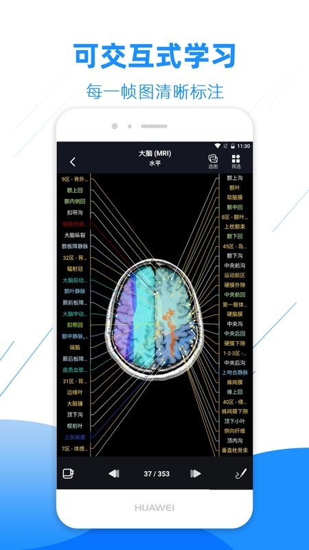 影像解剖图谱软件截图4