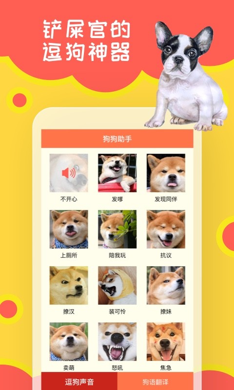 狗狗小助手app(狗语翻译)截图4