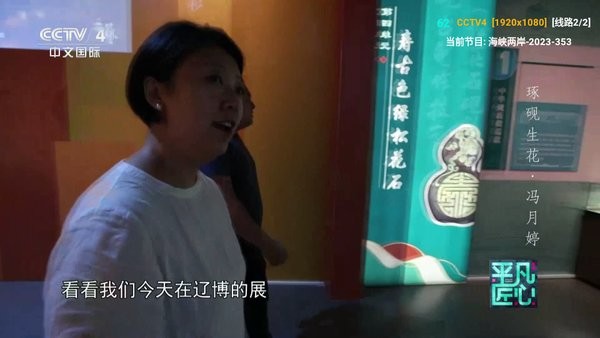 v3tv电视版截图3