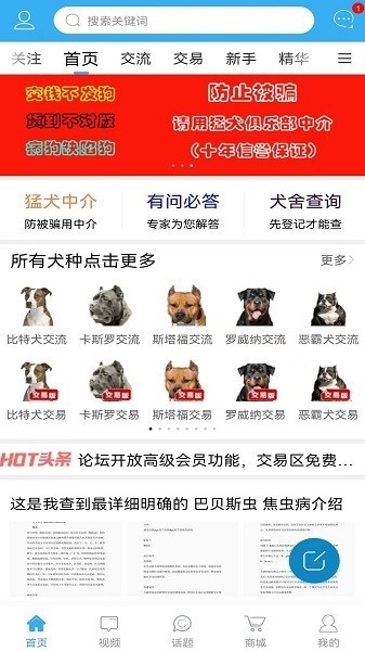 猛犬俱乐部交易区截图3