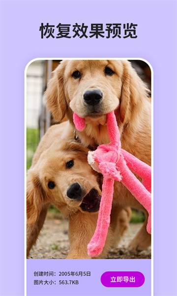 强力恢复精灵app截图