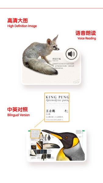 DK千奇百科岛app截图4