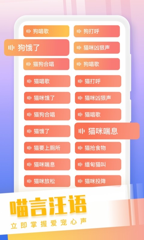 猫狗语翻译交流器截图4
