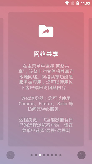 飞鱼播放器安卓版截图3