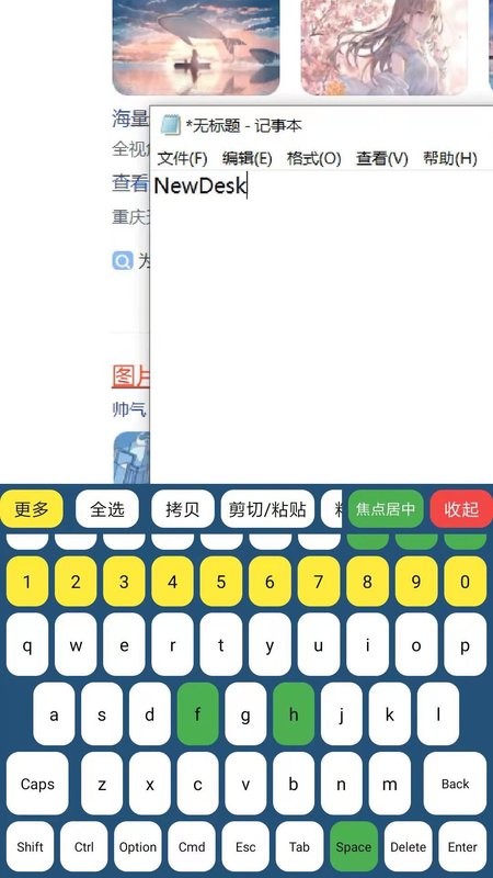 newdesk远程控制app截图2