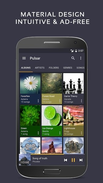 pulsar music player截图4