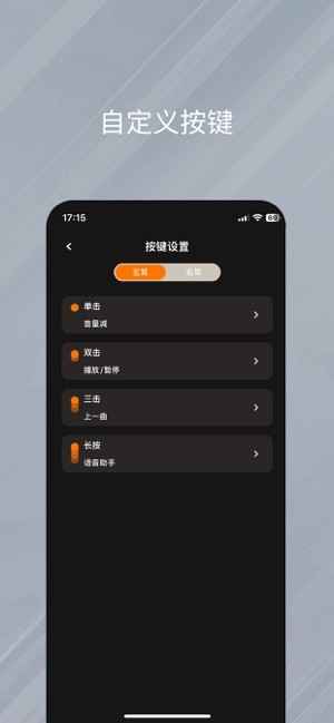 天籁音控软件