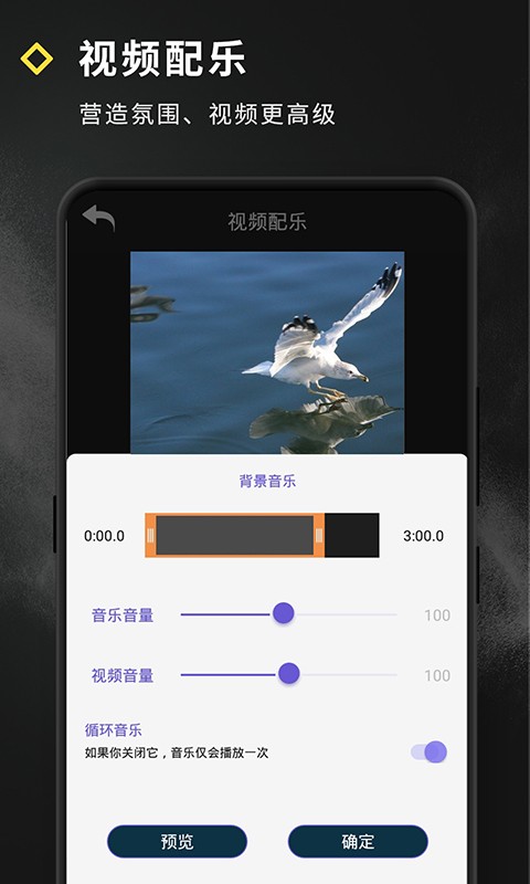 短视频特效制作软件截图4