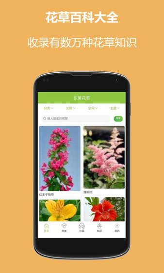 东篱花草截图1