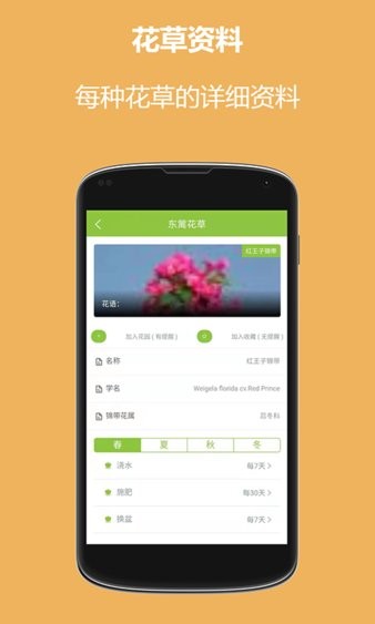 东篱花草截图3