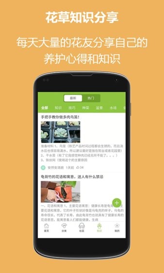 东篱花草截图4