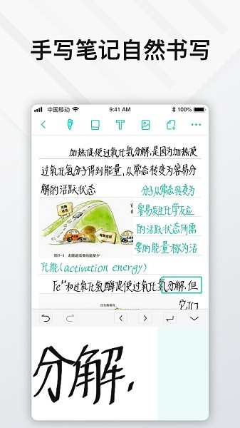 elfinbook易飞截图2