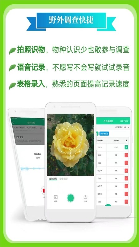 北极花生物调查截图4