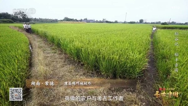 悠享直播电视app截图1