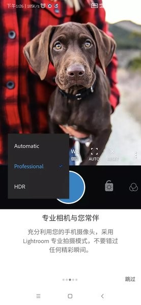 lr手机版最新版截图3