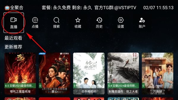 全聚合VST直播电视版