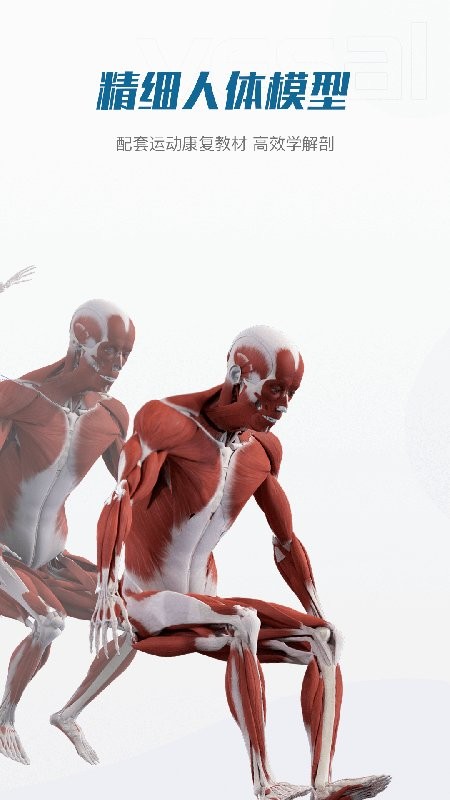 解剖大师手机版截图