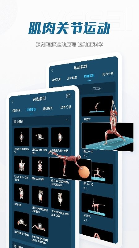 解剖大师手机版截图