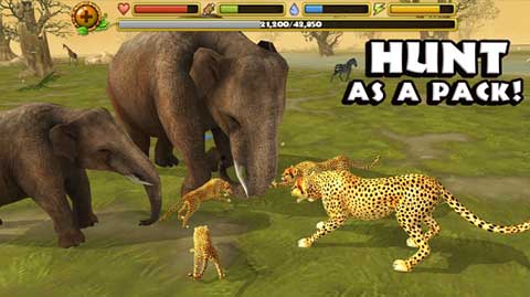 猎豹模拟器游戏(Cheetah Sim)截图1