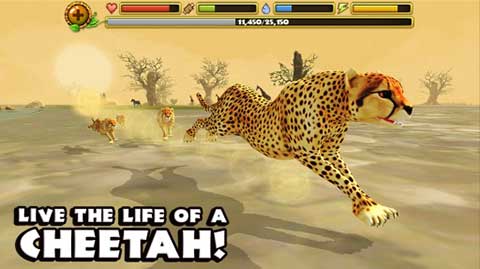 猎豹模拟器游戏(Cheetah Sim)截图2