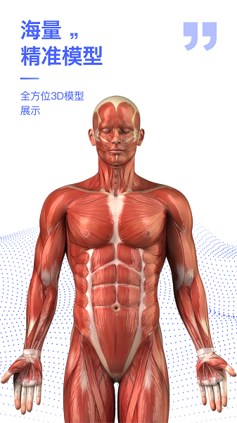 人体3d解剖图谱软件截图2