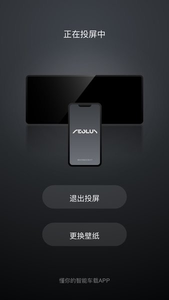 风神车联app最新版截图2